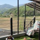 하품 | 밀양 위양지 시골 감성 카페 :: 위양하품 내돈내산 솔직 후기 (단체 이용 가능, 모임 장소 추천)