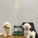김해운동장 옥외화장실1 | 김해 실내운동장 실내애견카페, 소형견도 가능한 김해르댕