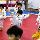 SAEM태권도장 이미지