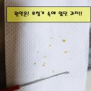 벨톤보청기충주지사 이미지