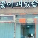 네일꽃이피었습니다