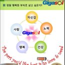 기가솔건강방 이미지