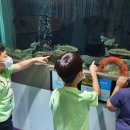 원천초등학교병설유치원 이미지