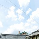 금소 투어코리아