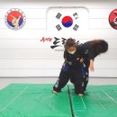 을지관 드림합기도 네이버블로그