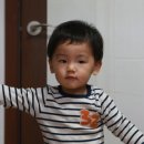 꼴통집 이미지