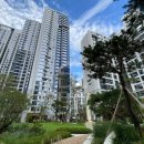 청담-105 이미지