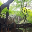 2026년 8월 9일 금정산 알탕 _ 이정목 1개소 이미지