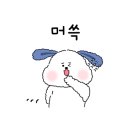 르디투어 고척 이미지