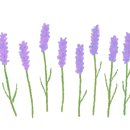 송당일경 이미지