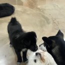 본투비 이미지