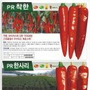 새마을종묘 이미지