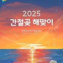 해맞이축제 이미지