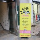 말바우동물병원 이미지