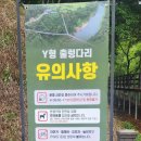 두 Y자(주말) 네이버블로그