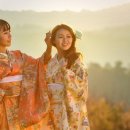 일상 속 생활 꽃꽂이 이미지