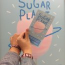[서울 전시회] Surgar Planent(슈가플래닛) 후기, 언더스탠드에비뉴, 서울숲(성수동) 맛집