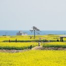 명산기획예나래디자인 | 🌸 2026 봄여행·체험관광 총정리｜강원 명산 서포터즈·양재천 천천투어·광주 국가유산 야행·강릉...