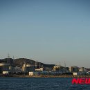 월성 이미지