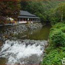 미소교역 이미지