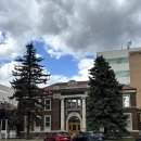 레드디어 이미지