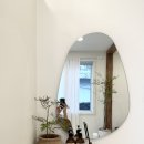 사라보카 이미지