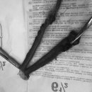 용인도담동물병원 이미지