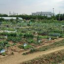 구민농장 이미지