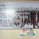 불타는명태코다리조림 네이버블로그