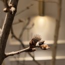 추억만들기 이미지