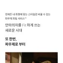 파우제 이미지