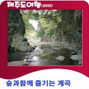 안덕버스정류장 이미지