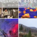 솔솔솔 다람쥐숲 유아숲체험원 이미지