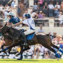 폴로관광호텔 이미지