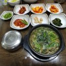 영월 금호정 이미지