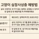 서문동물약국 이미지