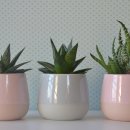 연봉우체국 이미지