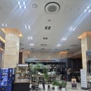 씨니즈 | 강원/속초] 씨크루즈 호텔 하프오션뷰 후기_중앙시장 도보 10분 + 야경 맛집