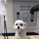 연두살롱 이미지