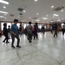 슈가트레블링