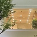국제서림 네이버블로그