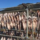 효진수산횟집 이미지