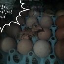 농부부이야기