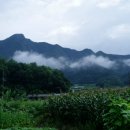 삼태산 농장 이미지