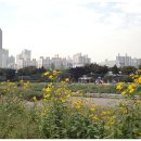 신천3치안센터 이미지