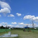 요천생태습지공원 애견놀이터 이미지