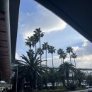 금강카서비스 | [비행기 여행]-제주 DAY1| 졸업여행 / 렌터카 후기 / 칼국수 맛집 / 고등어 딱새우 / 여행 경비