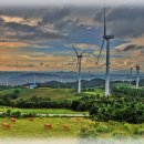 풍력발전소 이미지