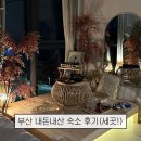 타이드어웨이풀빌라 | 부산 오션뷰 숙소 세 곳 내돈내산 후기 ! 타이드어웨이 풀빌라 라발스호텔 에어비앤비 가격비교