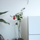 홍정농장 이미지